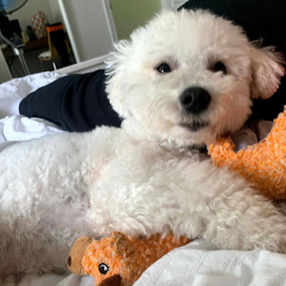 Meet your Posher, Tania - Picture 1 of 1